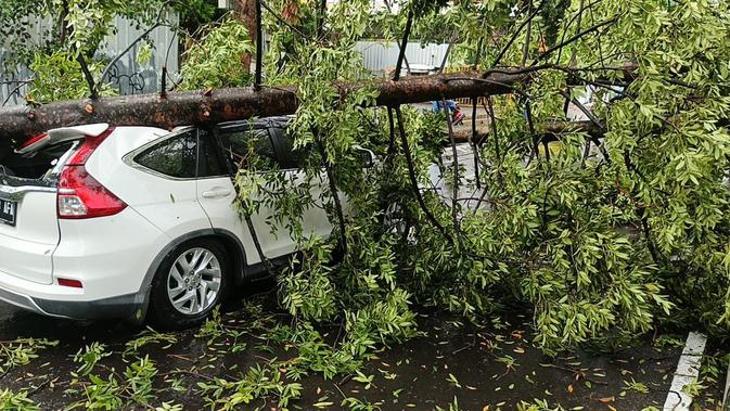 Hujan Angin di Bandung, Pohon Tumbang Timpa Mobil Berisi Ibu dan Anak