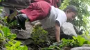 Mukhlis Abdul Holik (8) menuju sekolahnya di Kampung Cikiwul Tonggoh, Sekarwangi, Sukabumi, Kamis (15/11). Kedua tangan menjadi tumpuan Adul menempuh jalanan yang terjal, menanjak, dan menurun demi tiba di sekolah. (Merdeka.com/Arie Basuki)