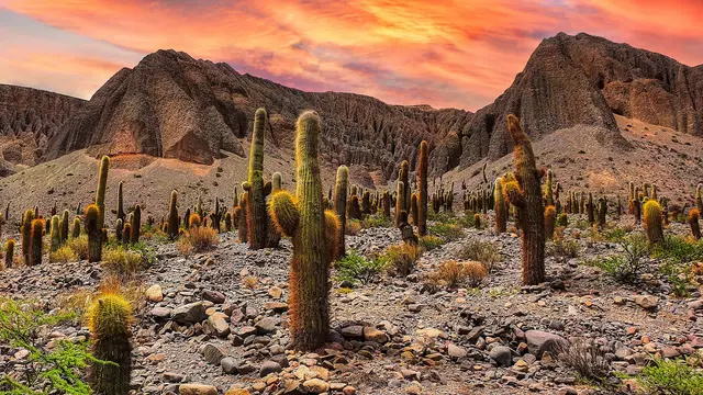 Salta Province