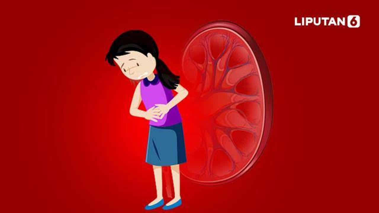 Ilustrasi gagal ginjal akut (Istimewa)