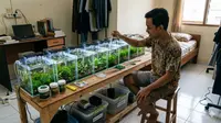 7 Ternak di Rumah Kontrakan Sempit Tanpa Renovasi, Ide Bisnis Cuan Penghuni Kos