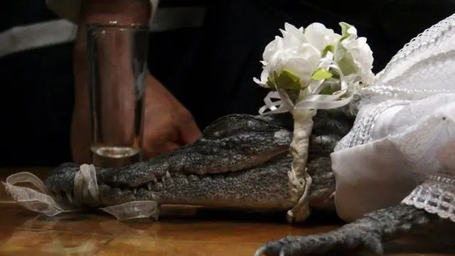 Menikahi Buaya
