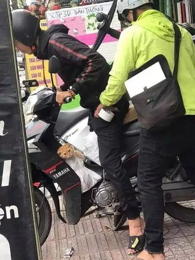 7 Potret Kocak Orang Boncengin Hewan Peliharaannya Ini Lucu Banget