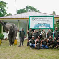 Menhut Tinjau PLG di Riau, Perkuat Fasilitas dan Revitalisasi Konservasi Gajah