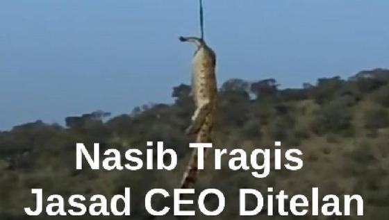 TRAGIS! Jasad CEO Ditelan Buaya Raksasa 500 Kg, Ada 6 Sepatu Ditemukan Dalam Perut