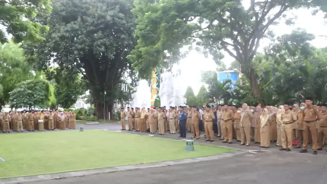 Banyuwangi Kembali Buka Rekrutmen Ratusan PPPK, Ada Guru, Kesehatan, dan Teknis