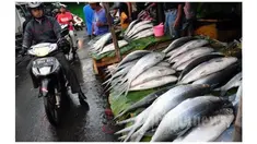 Ikan bandeng merupakan salah satu sajian penting saat perayaan tahun baru Imlek .Warga keturunan China ‎biasanya membeli ikan bandeng untuk sembahyang, tapi ada juga yang dibeli untuk makan-makan saat perayaan Imlek