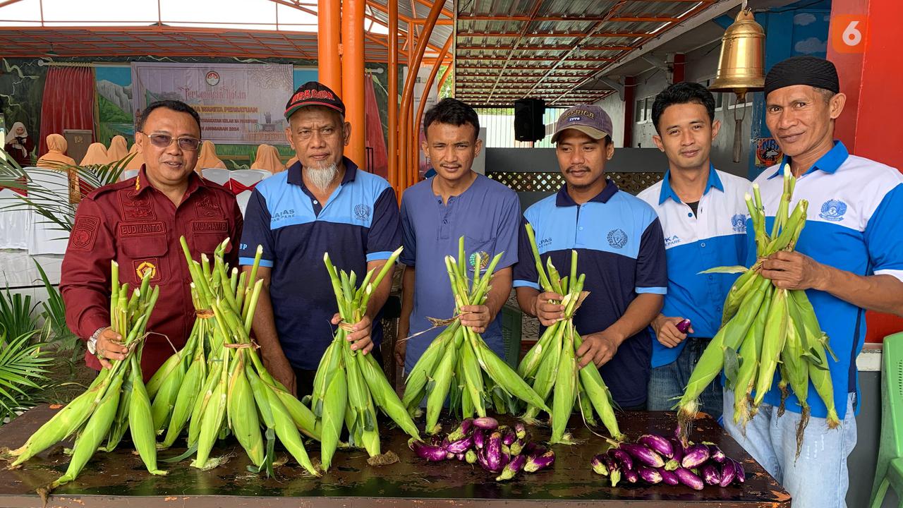 Warga Binaan Pemasyarakatan (WBP) Lapas Kelas IIA Parepare, Sulsel memanen perdana jagung dan terong di awal tahun 2024 (Liputan6.com/Eka Hakim)