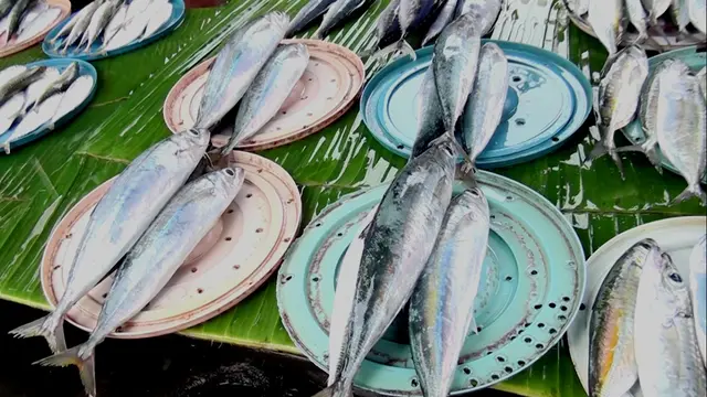 Harga Ikan Melonjak Tinggi di Ambon