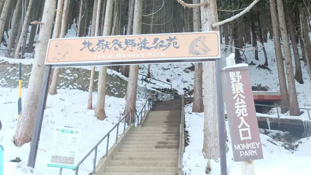 Jigokudani yaen-koen