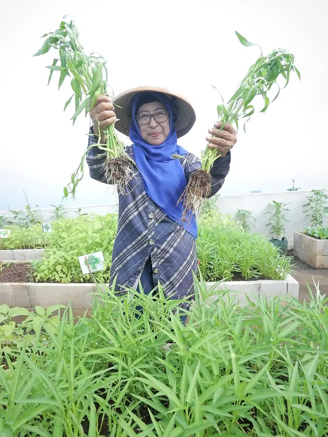 Super Indo Berkebun: Ajak Masyarakat Menanam di Rooftop Food Garden