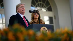 Presiden AS Donald Trump menyampaikan sambutan sebelum memberikan pengampunan kepada kalkun dalam upacara Thanksgiving nasional di Rose Garden Gedung Putih, Selasa (26/11/2019). Ini merupakan tradisi tahunan yang diadakan di Gedung Putih sehari sebelum perayaan Hari Thanksgiving. (JIM WATSON / AFP)