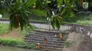 Sejumlah petugas membersihkan rumput di sepanjang bantaran Kanal Banjir Timur (KBT), Jakarta, Selasa (12/3). Tidak adanya mesin pemotong rumput menyebabkan para petugas melakukan perawatan rutin dengan alat seadanya. (Liputan6.com/Immanuel Antonius)