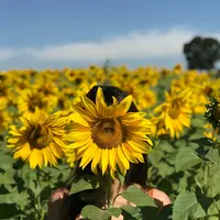 Berdamai dengan diri./Copyright pexels.com/@mariana-720284