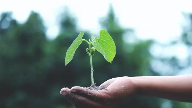 Quotes About Learning and Growing