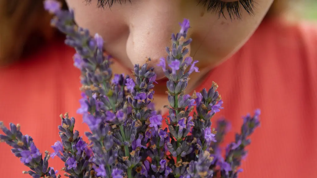Anosmia atau kehilangan indra penciuman menjadi salah satu gejala Covid-19. Simak cara mengatasinya di sini. (FOTO: Unsplash.com/Elly Johnson).