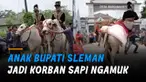 Sebuah insiden menimpa putra bungsu dari Bupati Sleman.