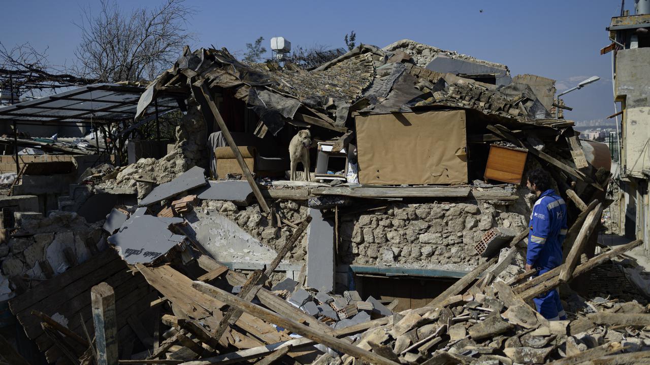 Mencari Hewan-Hewan yang Terperangkap Reruntuhan Bangunan Gempa Turki Suriah