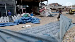 Pekerja menjemur leburan sampah plastik di gudang pengolahan sampah plastik kawasan Bekasi, Rabu (15/9/2021). Riset terbaru Sustainable Waste Indonesia (SWI) mengungkapkan skema ekonomi sirkular sebagai salah satu strategi untuk pengelolaan sampah plastik. (Liputan6.com/Herman Zakharia)