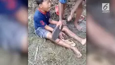 Sebuah video yang merekam bocah laki-laki digigit lintah beredar di media sosial.