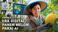 Kecerdasan buatan atau AI dan Internet of Things sudah semakin merambah ke mana-mana dan ke siapa pun, termasuk petani dalam menggarap lahannya. Bagaimana caranya? Ini liputannya.