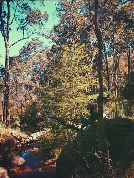 (via instagram/@tarabasro)