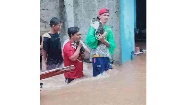 Potret Evakuasi 6 Kucing saat Banjir Ini Bikin Haru
