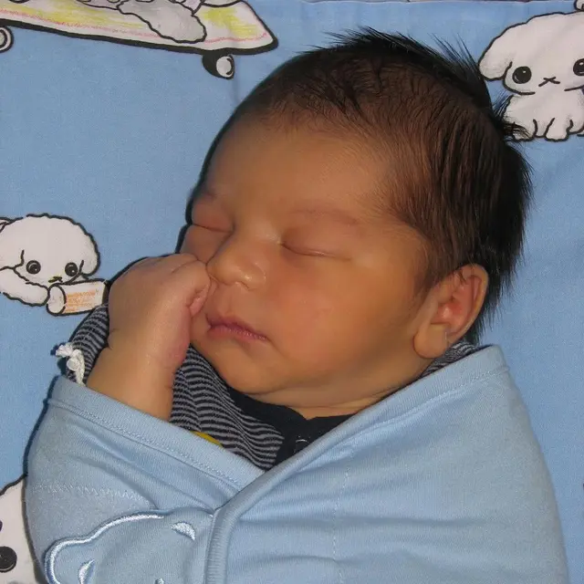 6 Potret Masa Kecil Eddy Meijer Anak Tunggal Maudy Koesnaedi, Blasteran Belanda