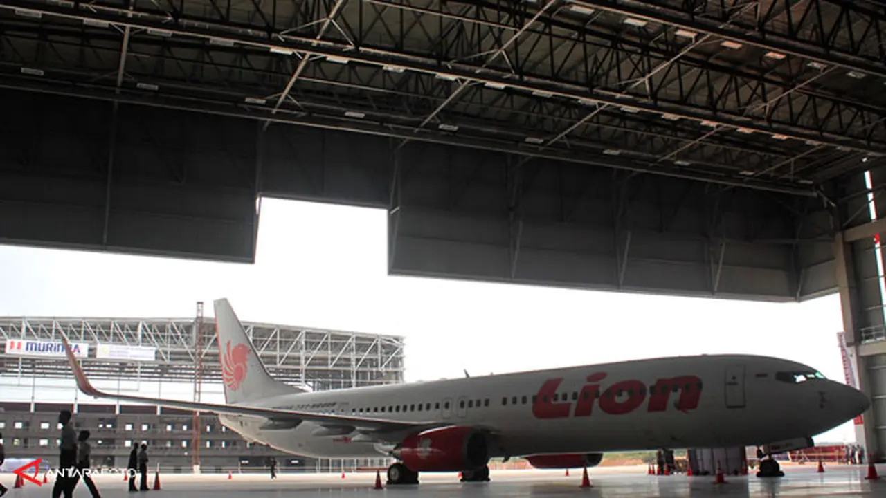 lion-air-140203-b.jpg