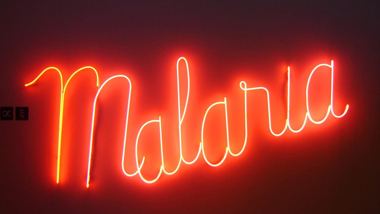 Kenali Perbedaan Malaria Ringan dan Berat