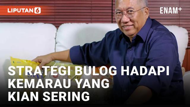 Beras Langka karena Kekeringan Makin Sering Terjadi, Begini Strategi Bulog di Masa Depan