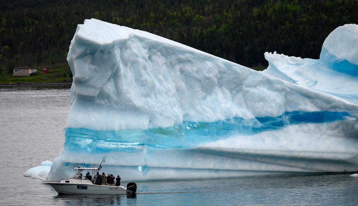 Foto Gunung Es Terapung Jadi Destinasi Wisata Baru Di Kanada