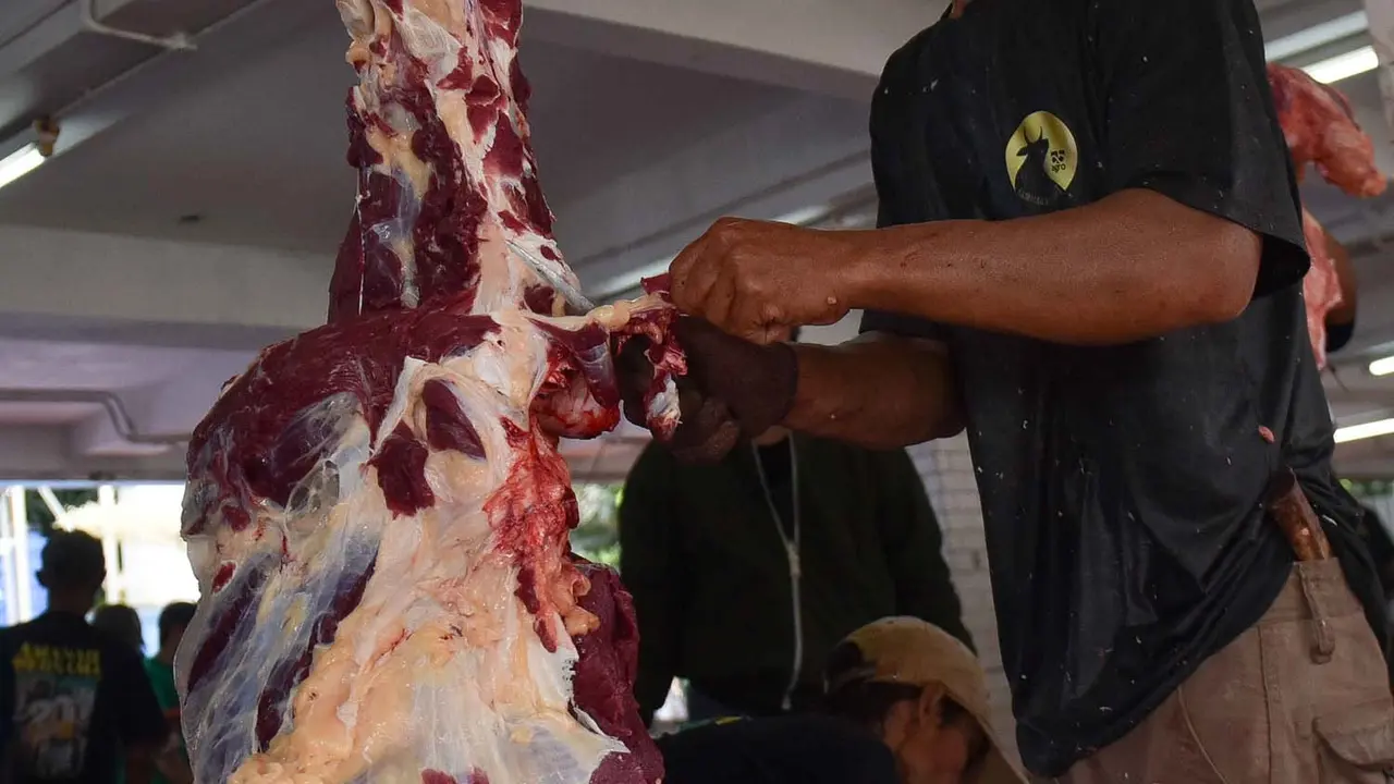 Tidak Bagikan Kupon, Masjid Istiqlal Antar Langsung Daging Hewan Kurban