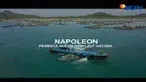 Tingginya harga jual lebih dari Rp 1 juta per kilogram menjadi nilai investasi menggiurkan bagi nelayan pebudidaya napoleon seperti Basar.