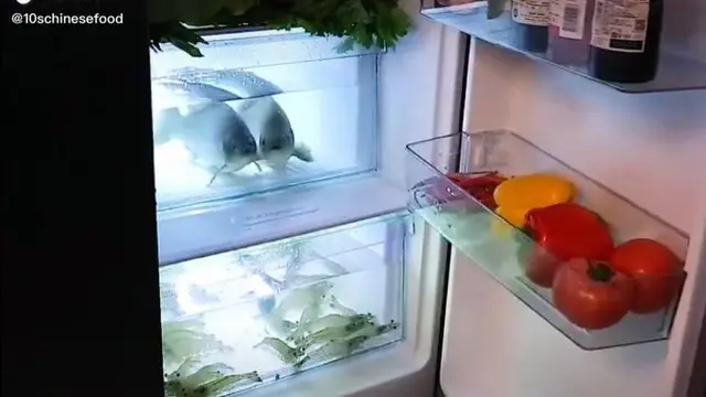 6 Akuarium Low Budget Ini Absurd Banget, Enggak Habis Pikir