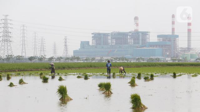 Sektor Pertanian Bisa Bertahan di Tengah Pandemi