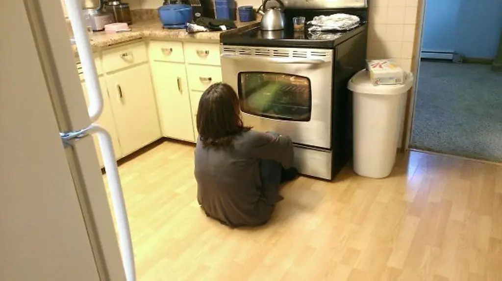 Baru punya oven. (Sumber foto: boredpanda.com)