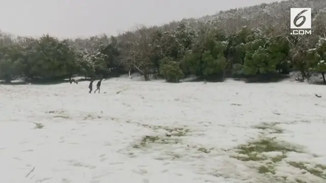 Hujan salju pertama di Dataran Tinggi Golan. Dataran Tinggi Golan adalah sebuah wilayah yang disengketakan antara Israel dan Suriah.