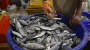 Pedagang mengecek ikan di Pelelangan ikan Muara Baru, Jakarta, Sabtu (6/7/2019). Angka ini mengalami kenaikan 24% dibandingkan periode yang sama tahun lalu yang hanya mencapai Rp32 triliun. (Liputan6.com/Angga Yuniar)