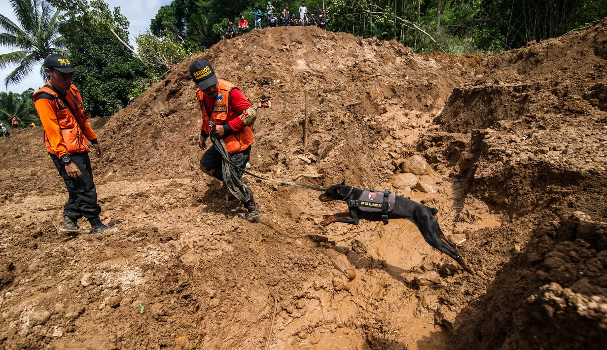 Tim penyelamat menggunakan anjing pelacak untuk mencari korban longsor di Kabupaten Ponorogo, Jawa Timur, Minggu (2/4). Bencana tanah longsor yang terjadi Sabtu kemarin menimbun puluhan rumah, sedangkan 28 warga dinyatakan hilang. (JUNI KRISWANTO/AFP)