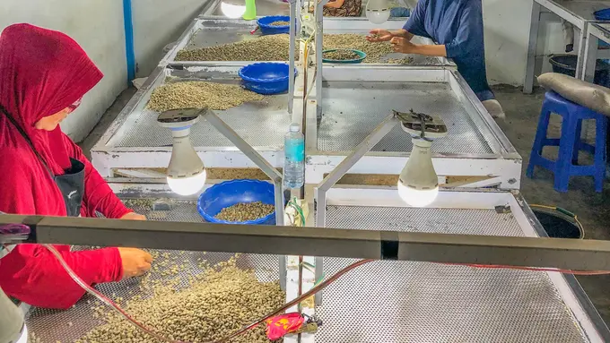 UMKM Tanah Air Tingkatkan Kesejahteraan Petani