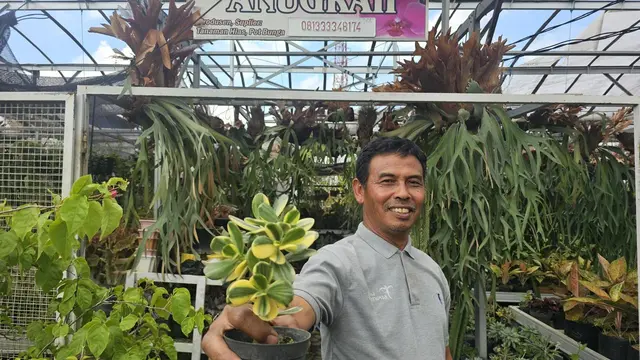 Berkat Program Klasterkuhidupku BRI, Pasar Tanaman Hias Sekar Mulyo Jadi Sumber Nafkah Warga
