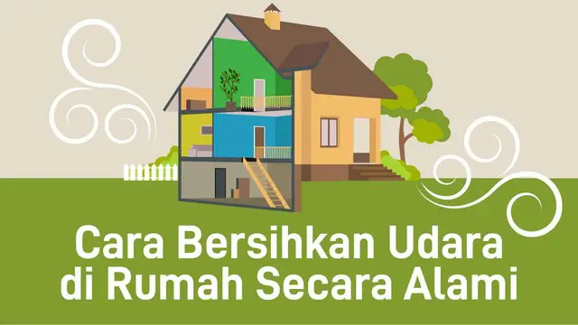 VIDEO: Cara Membersihkan Udara di Rumah Secara Alami
