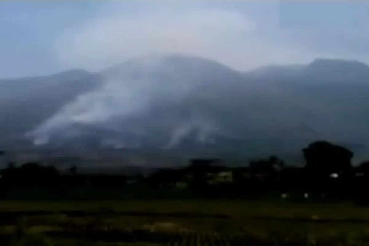 Kebakaran-Hutan-Guntur