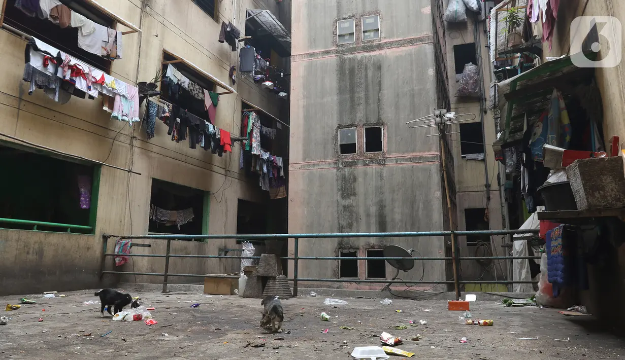Kondisi salah satu bagian dari dinding rusun Cilincing dimanfaatkan untuk menjemur pakaian, Jakarta, Selasa (29/10/2019). Penghuni berharap rusun itu dapat segera direnovasi agar bisa dihuni dengan nyaman. (Liputan6.com/Herman Zakharia)