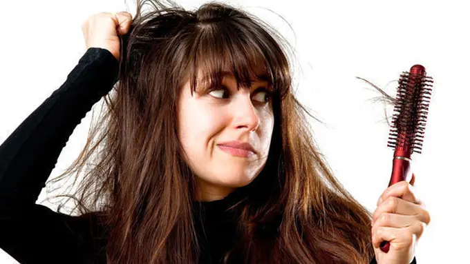 Foto: copyright shutterstock.com