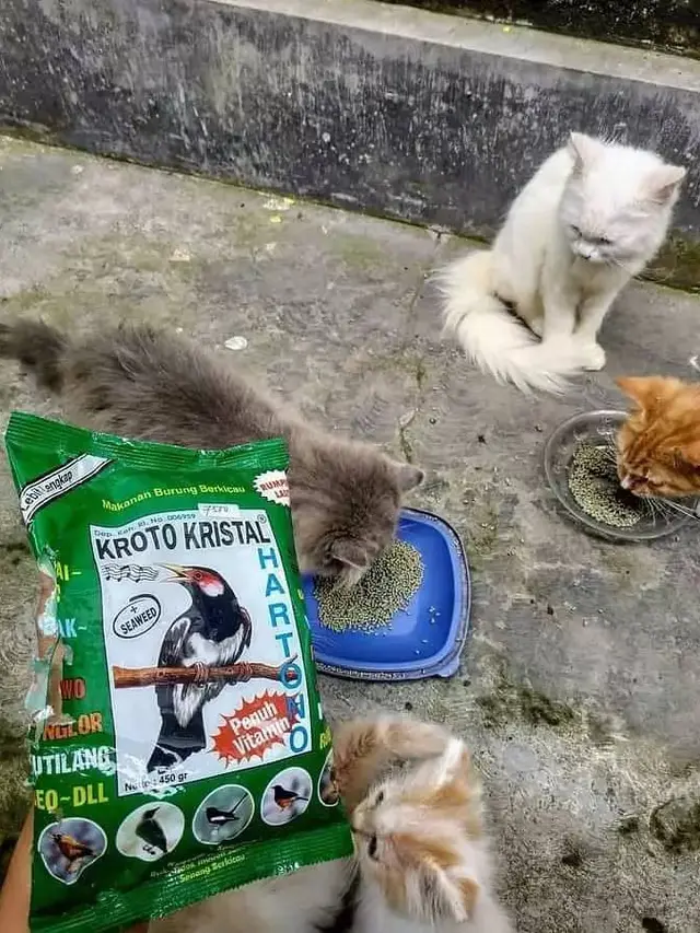 10 Potret Nyeleneh Saat Beri Makan Hewan Ini Bikin Tepuk Jidat