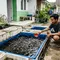 7 Kesalahan Memelihara Ikan Lele di Kolam Rumahan yang Perlu Dihindari