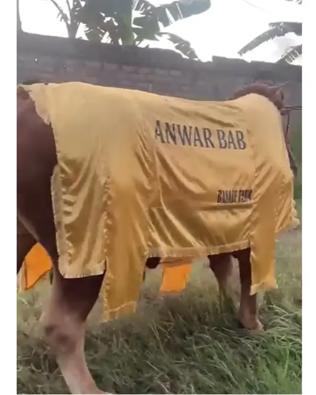 7 Artis kurban sapi di Idul Adha 2025, Ruben Onsu kurban sapi jumbo