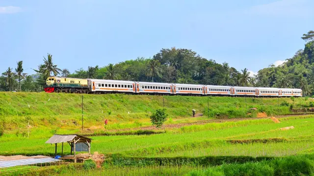 Perjalanan Kereta Api Pandanwangi dari Staisun Ketapang menuju Staisun Jember PP (Istimewa)